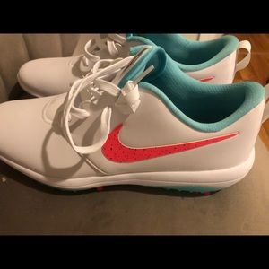 Nike size 11.5 Golf Shoe BRAND NEW